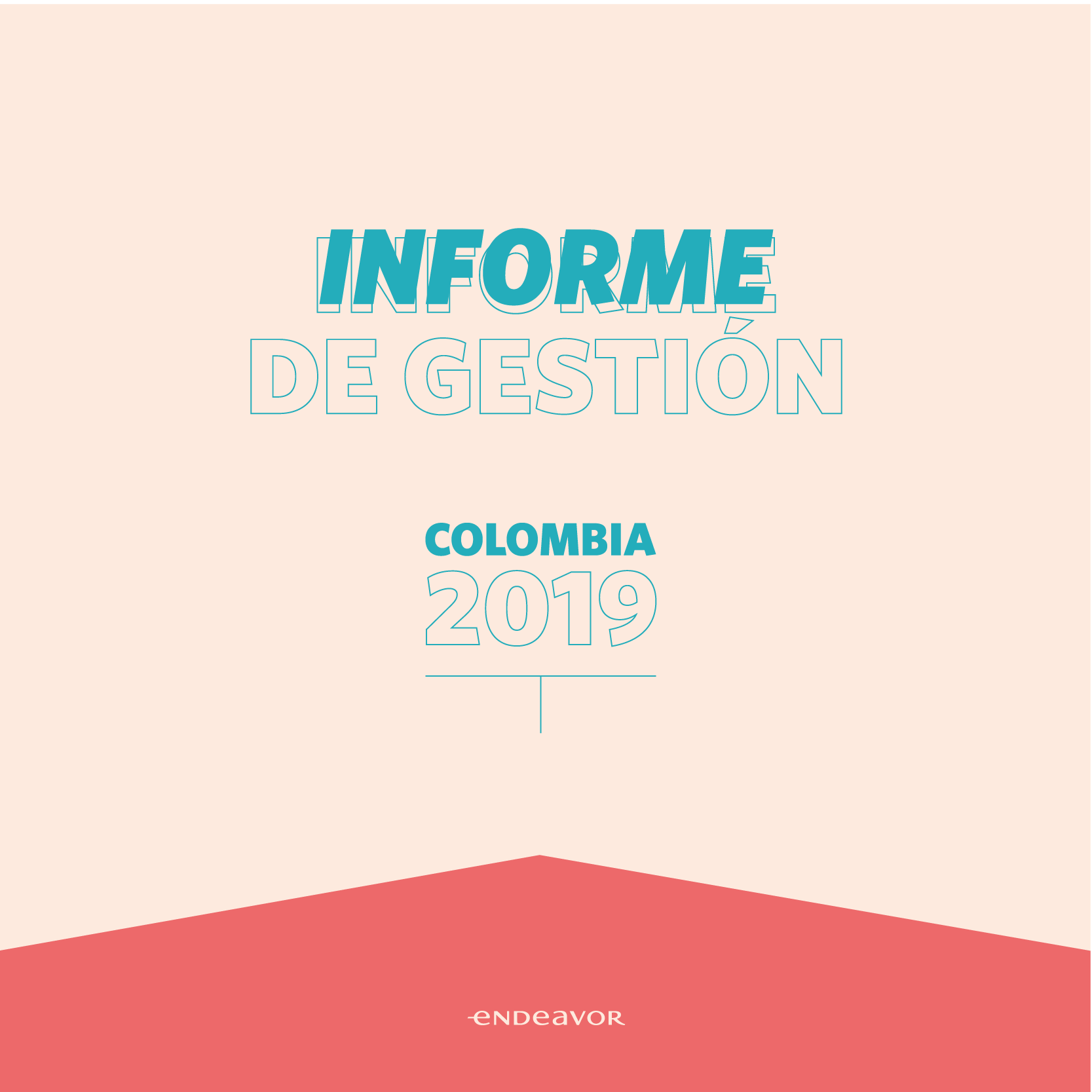 Informe de gestion Endeavor 2019