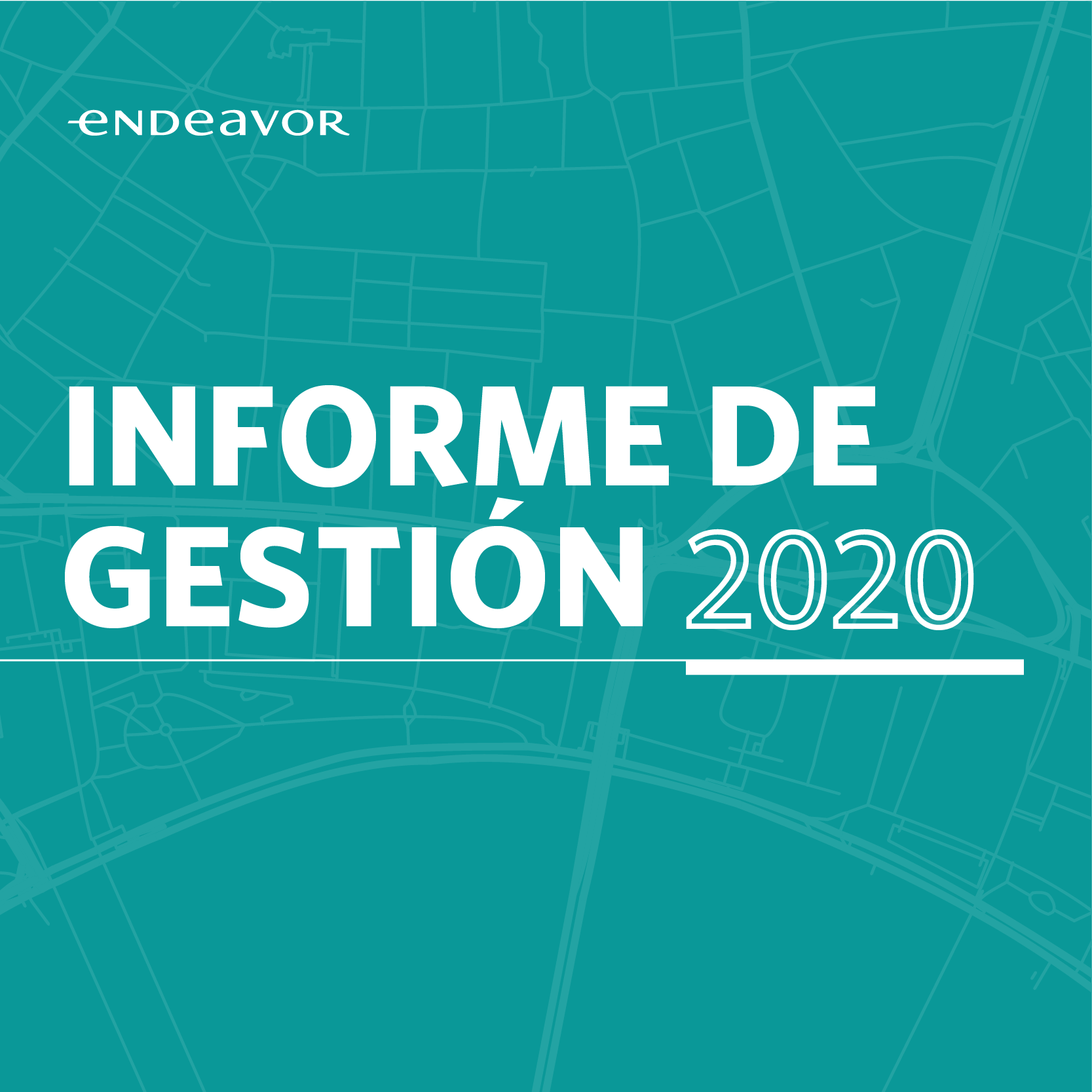 Informe de gestion Endeavor 2020