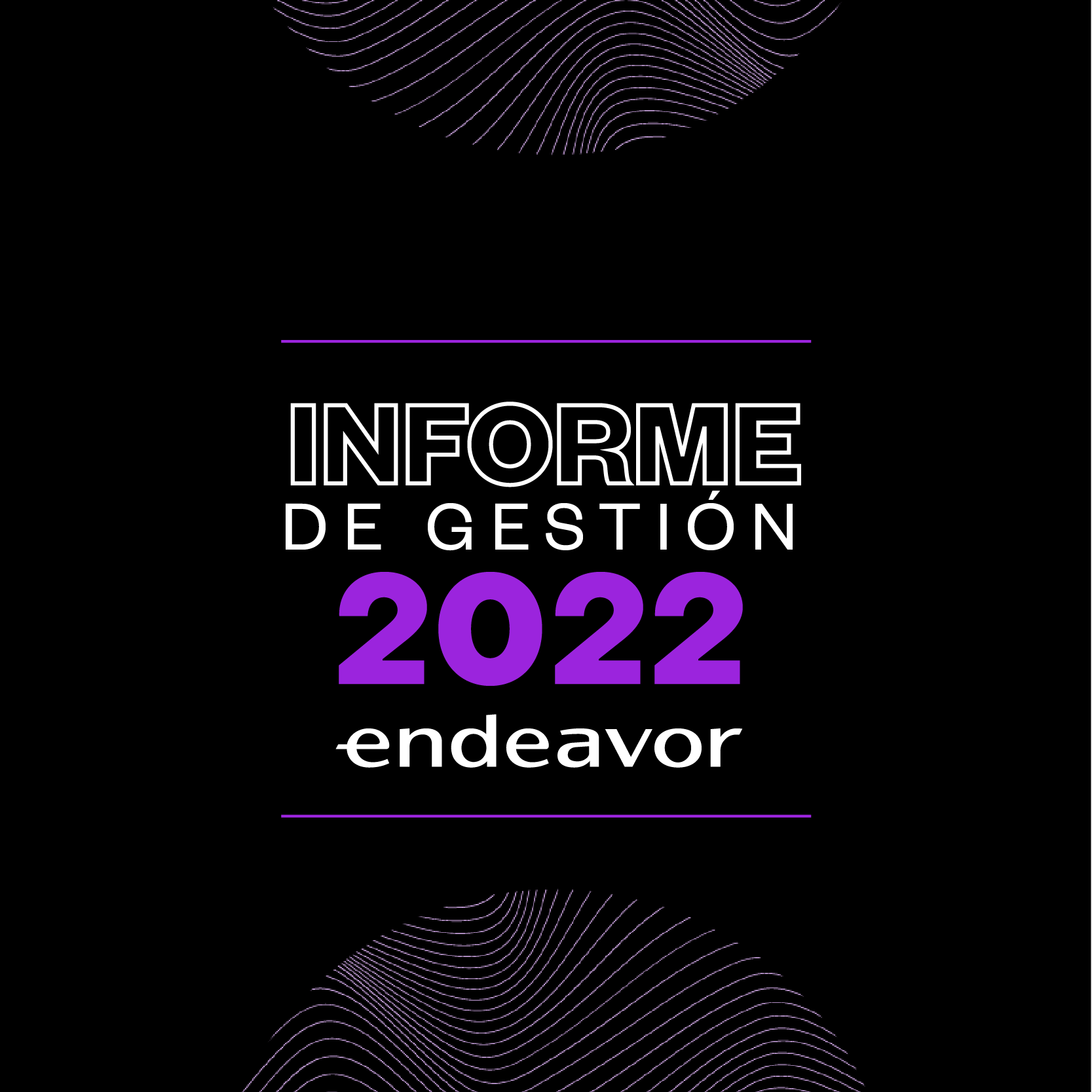 Informe de gestion Endeavor 2021
